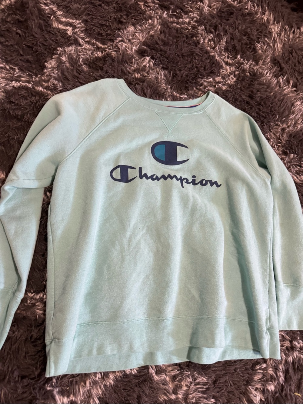 Champion Women's Light Mint Crewneck Sweatshirt with Navy Logo